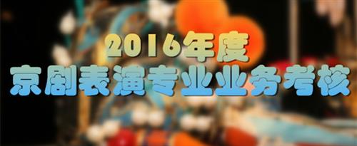 黑人舔阴国家京剧院2016年度京剧表演专业业务考...